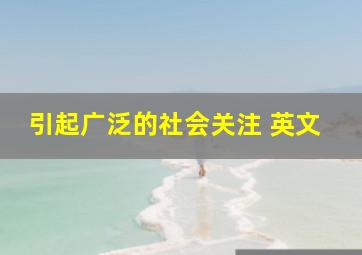 引起广泛的社会关注 英文